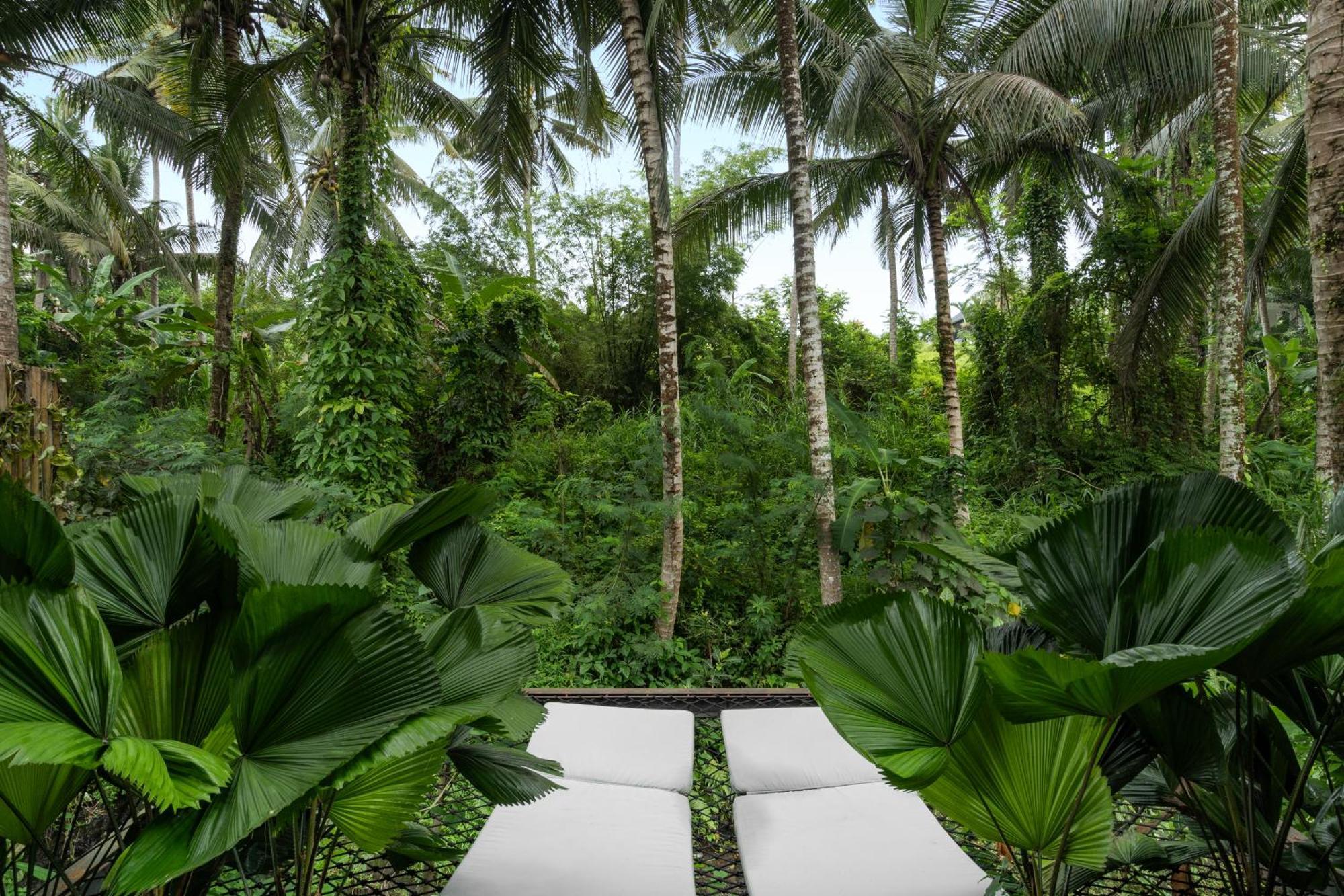 Villa Aruna By Balisuperhost Ubud Dış mekan fotoğraf